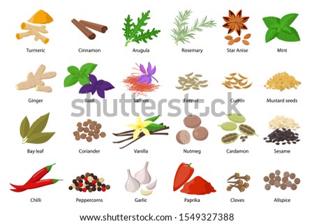 Large set of spices vector illustrations  in flat design isolated on white background. Spices and herbs icons collection. Royalty-Free Stock Photo #1549327388