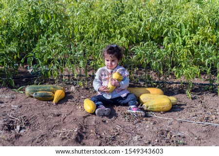 pumpkin harvest and a girl