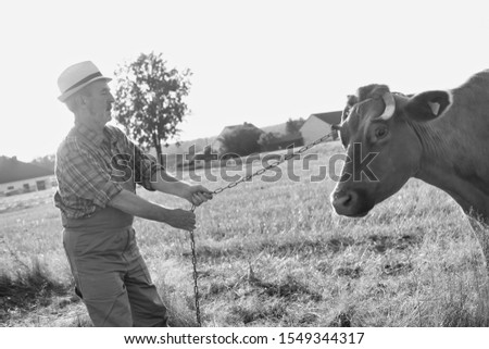 Black and white photo of senior farmer with his herd in field