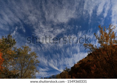 Cirrus clouds in the Great Smoky Mountains National Park.
