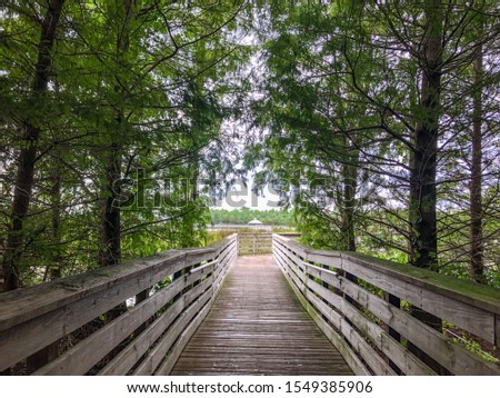 elevated boardwalk in an outdoor park in the swamp