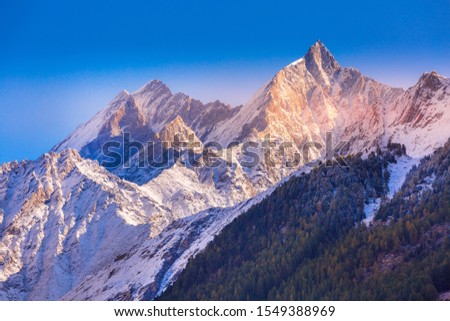 Swiss Alps in Switzerland, autumn trees and snow peaks in Zermatt