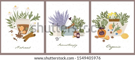 Apothecary of natural wellness poster set, organic, aromatherapy, essential oils, incense, herbal tea, candles, wildflowers and herbs.   Health and self-care concept. Vector Illustration. Royalty-Free Stock Photo #1549405976