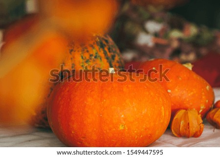 Autumn background with pumpkin close up on table