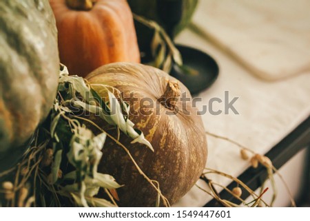 Rustic autumn decor arrangement with pumpkins close up