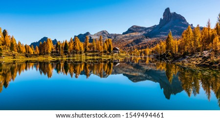 Golden reflections on the Federa lake. Dreamlike Dolomites. Italy Royalty-Free Stock Photo #1549494461