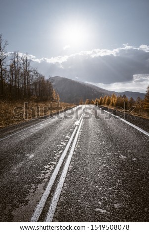 Country road in mountains. Autumn.