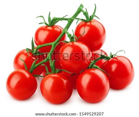 tomato cherry on branch isolated on white background, clipping path, full depth of field Royalty-Free Stock Photo #1549529207