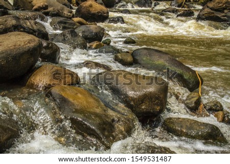 Close-up beautiful natural river water stream landscape with rock 