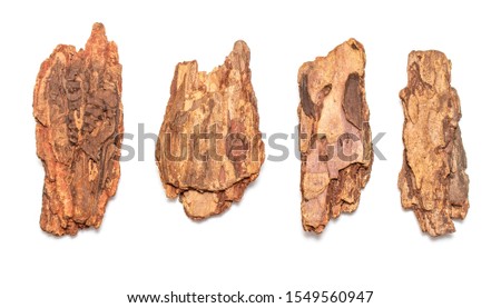 A piece of tree bark is isolated on a white background. Royalty-Free Stock Photo #1549560947