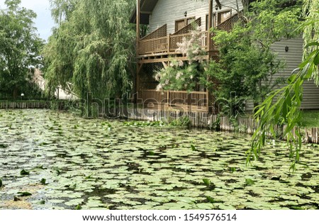 Swamp in front of a house in danube delta