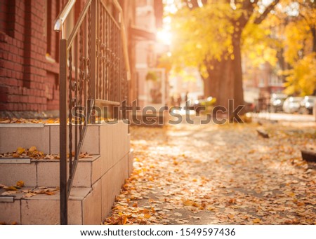 city street walkway with fallen autumn leafs building stairway 