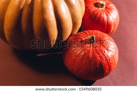Stock photo pumpkin close-up, assorted pumpkins. Big and small size pumpkins and different colors, on a brown background.