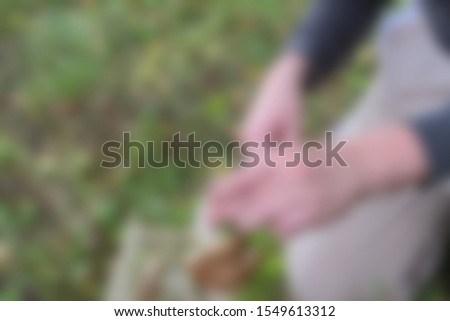Abstract blurred nature background person cutting a mushroom