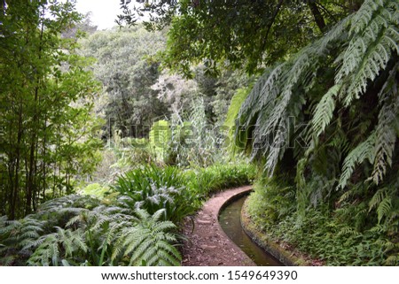 Hiking trail at Levada do Rei in Madeira, Portugal Royalty-Free Stock Photo #1549649390