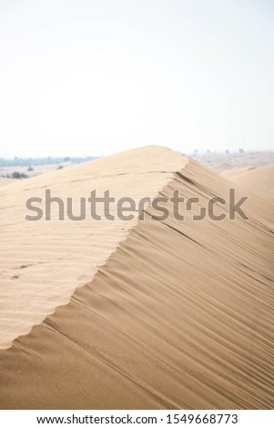 Lonely dune in the Dubai desert