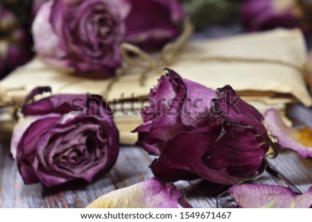 Withering and fragility of life. Nostalgic melancholy poster with dry flowers. Wistful memories of  past. Withered buds and rose leaves. Decorative violet flowers on table. Vintage floral wallpaper