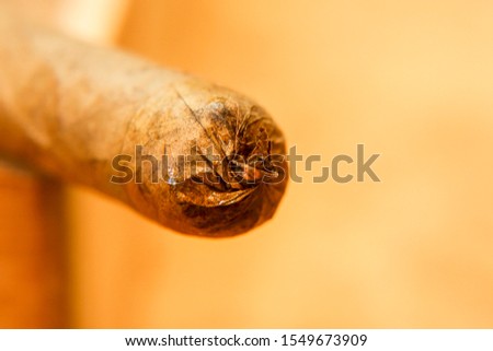 Cigar manufacturing in small scale with traditional tools in Greece Royalty-Free Stock Photo #1549673909