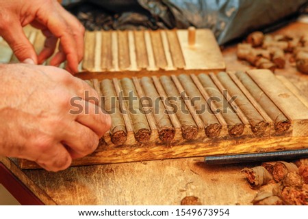 Cigar manufacturing in small scale with traditional tools in Greece Royalty-Free Stock Photo #1549673954