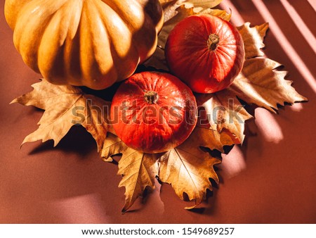 Autumn composition of pumpkins and yellow leaves. Stock photo of pumpkins on dry leaves.