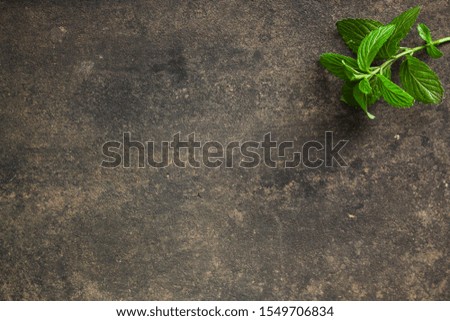 mint, fragrant green petals (food decoration) menu concept. food background. copy space. Top view