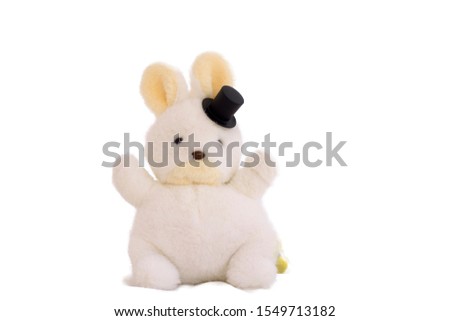 Stuffed rabbit on the white background