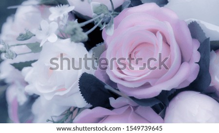 Blurred of rose flowers pink blooming. in the pastel color style for background. Stained glass pictures