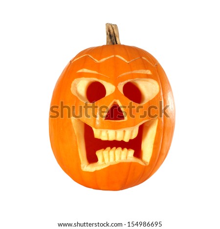 pumpkin on white space 