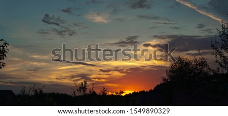 Sunset on nature. The sky is glowing with colorful hues. Silhouettes of trees and shrubs in the foreground. 