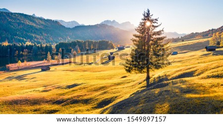 Panoramic morning scene of Wagenbruchsee (Geroldsee) lake with Zugspitze mountain range on background. Amazing autumn view of Bavarian Alps, Germany, Europe. Beauty of nature concept background. Royalty-Free Stock Photo #1549897157