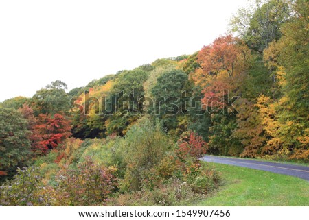 Autumn colorful foliage in Smoky Mountains (by the Blue Ridge Parkway)