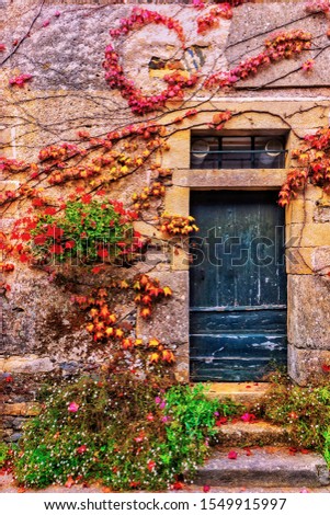 Beautiful stone house with flowers and plants