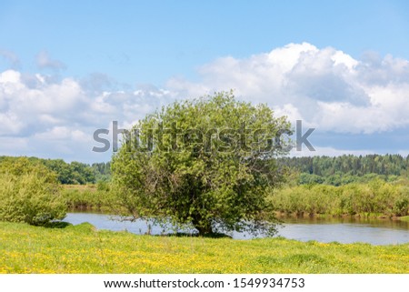 Beautiful summer landscape on a sunny day