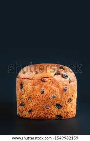 Christmas cake panettone. Delicious  Christmas cake decorated with fir tree branch on black background, copyspace