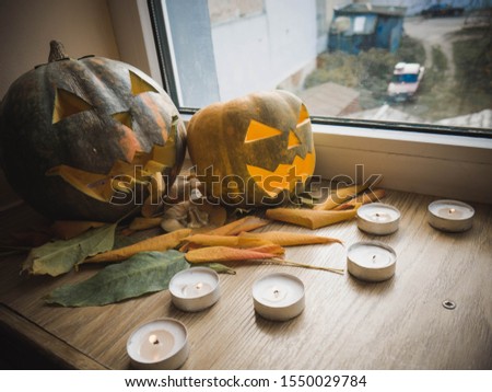 Pumpkins for Halloween in a leaf on the table