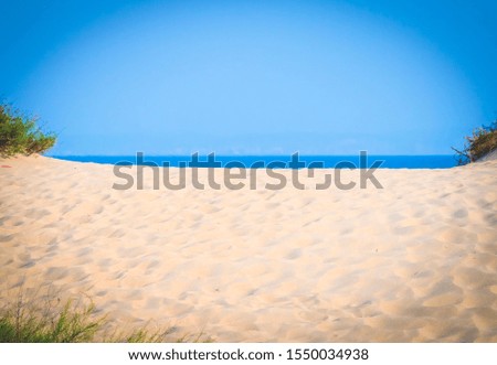 OSandy beach near sea on sunny day