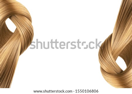 Brown hair tied in knot on white background, isolated. Copy space