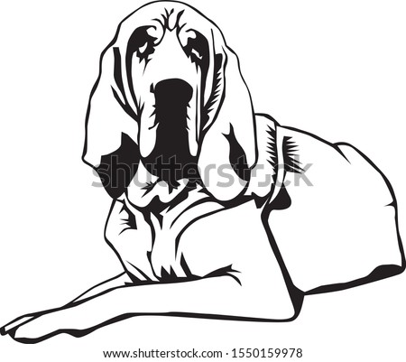 black and white illustration of a  lying bloodhound dog 