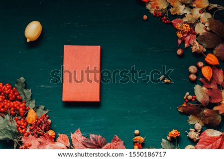 autumn background book yellow and Red leaves of berries fruits nuts