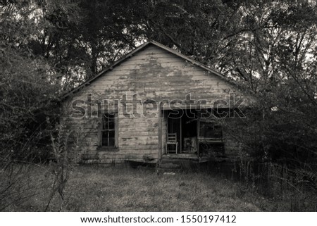 The old homestead's best days are long past as it sits neglected, empty, and alone in the overgrown brush that once enhanced its beauty.