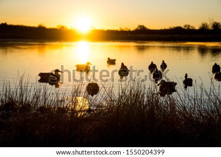 Beautiful duck hunting scene in front of a early morning Texas sunrise