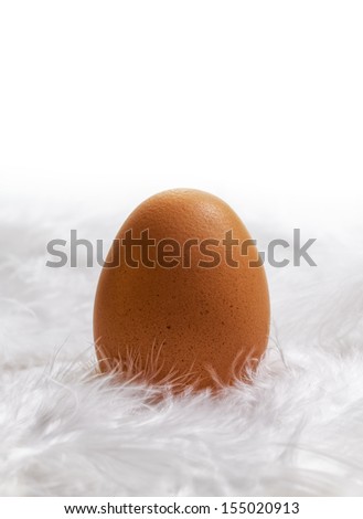 Egg on a feather bed