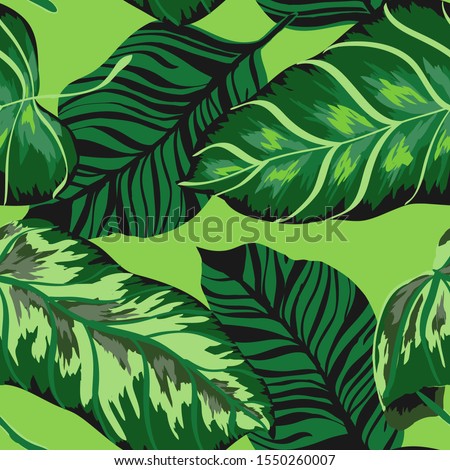 Cornflower Monstera Tree Vector Seamless Pattern. Cloud Exotic Palm Illustration Island Style. Swamp Leaf Nature Illustration. Azure Palm Foliage Background