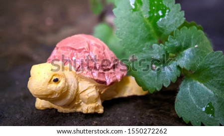 Model animals come in pairs - turtle