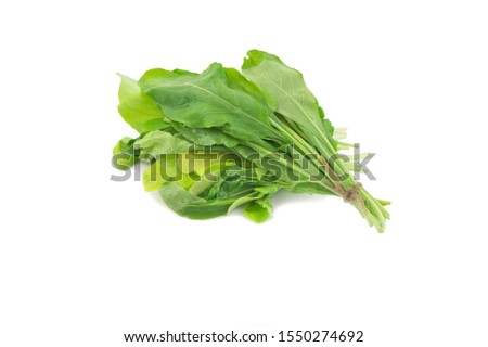 Chinese kale vegetable isolated on white background