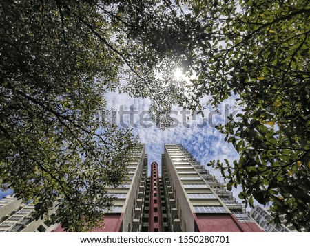 Look up image of a moden apartment building frame with green tree. New modern living concept city in the park.
