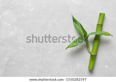 Green bamboo stem with leaves on light background, top view. Space for text Royalty-Free Stock Photo #1550282597