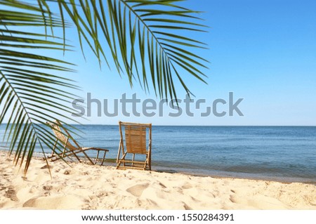 Sandy beach with empty wooden sunbeds on sunny day