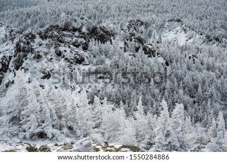 Russia, Ural mountains, National park Taganay, 03 of november 2019, Winter snowy landscape with trees, stones, rocks and clouds on the sky