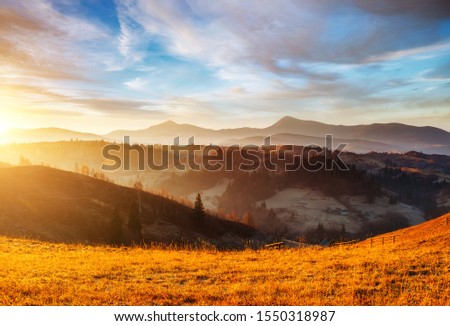 Tranquil morning moment in alpine valley. Location place of Carpathian mountains, Ukraine, Europe. Image of wonderful scenery, nature wallpapers. Fantastic sunset scene. Discover the beauty of earth.